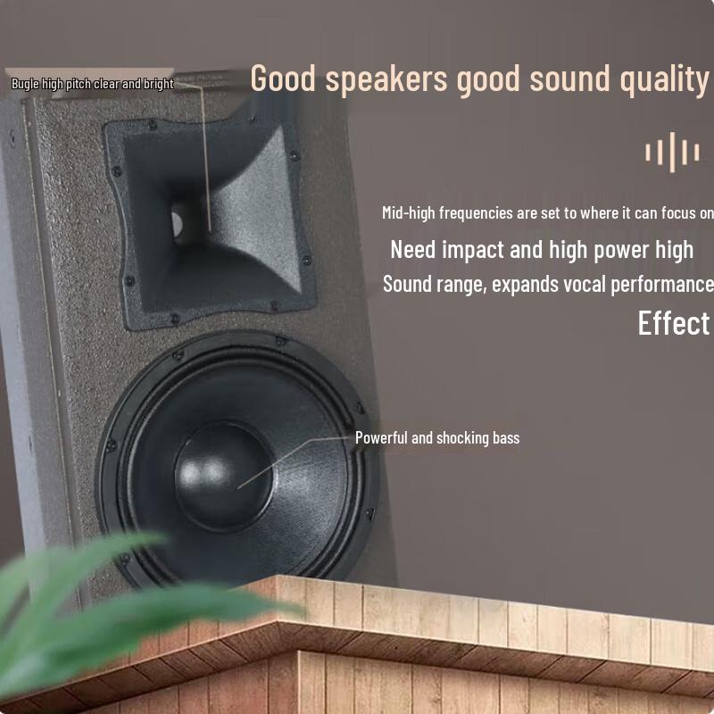 HUIDU Professional 15-inch Full-Range Speaker System