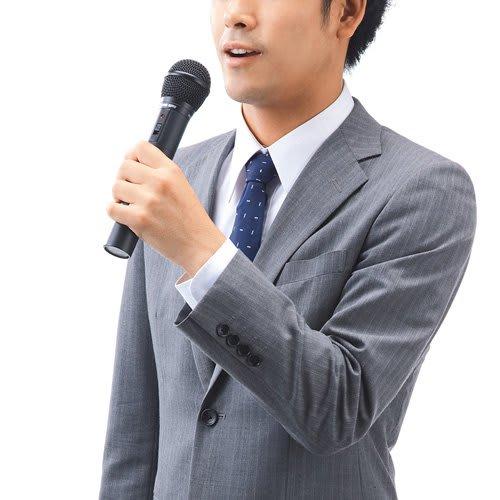 Sanwa Supply Wireless Microphone MM-SPHMW4