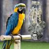 Langlebiges Metall- und Holz vogelähnliches Spielzeug für große Papageien, Edelsittiche und Graupapageien, 8 Tassen und Rundungen für sichere Verwendung