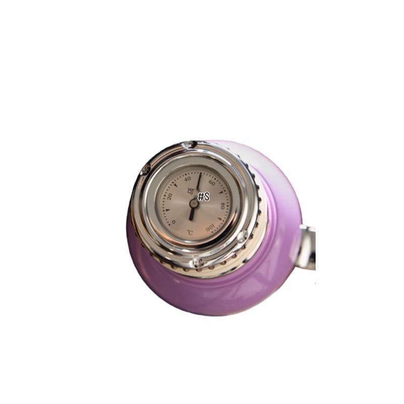 Kesais Tea Infuser Thermos & White Tea Set