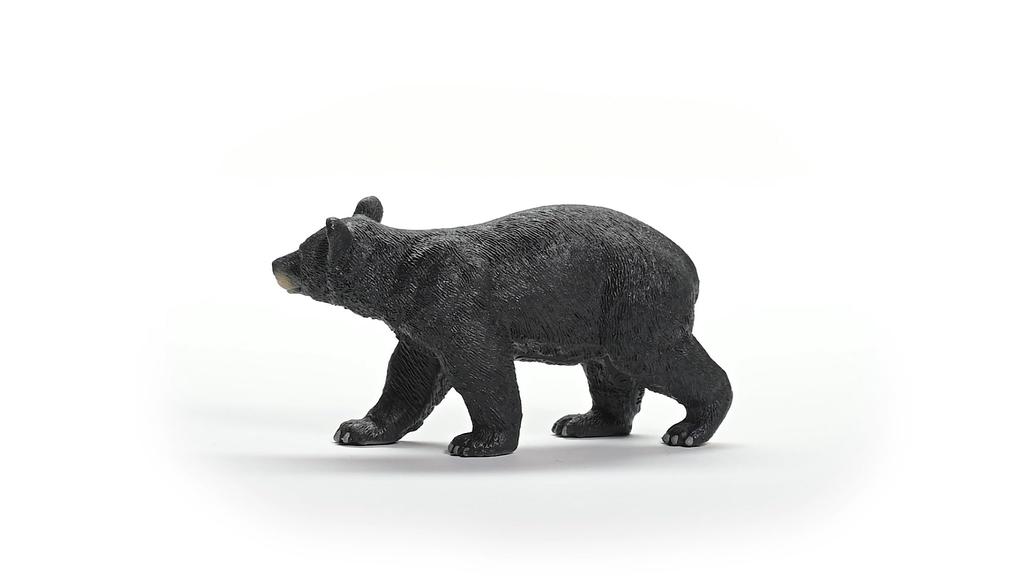 Schleich Wildlife American Black Bear 14869