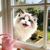 Cute Animal Peeking Window Cling Funny Cat/Dog/Donkey Window Sticker Removable Static Decals for Bedroom