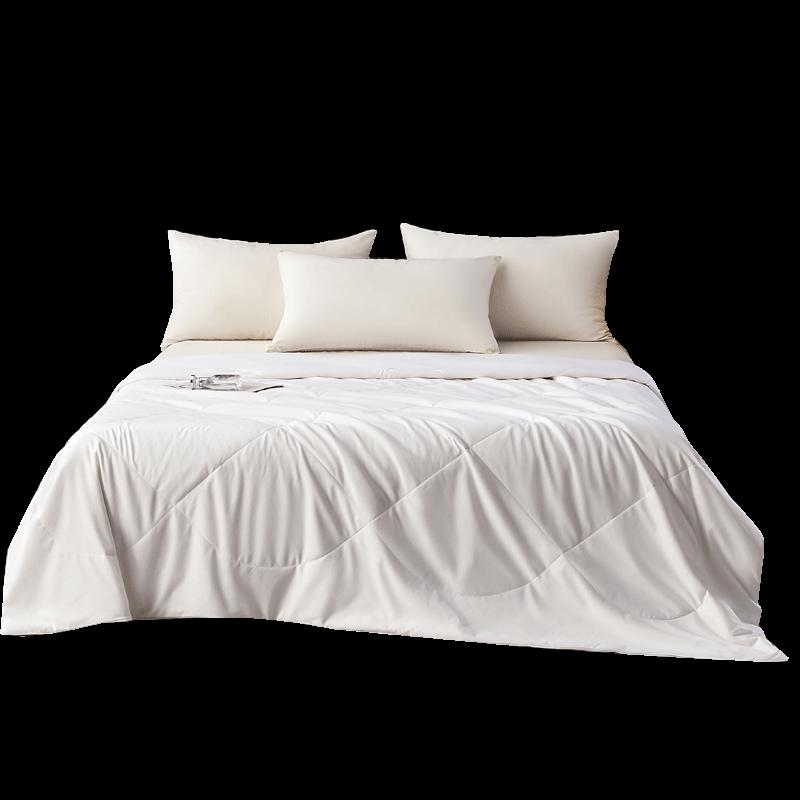 Hengyuanxiang Tussah Silk Quilt