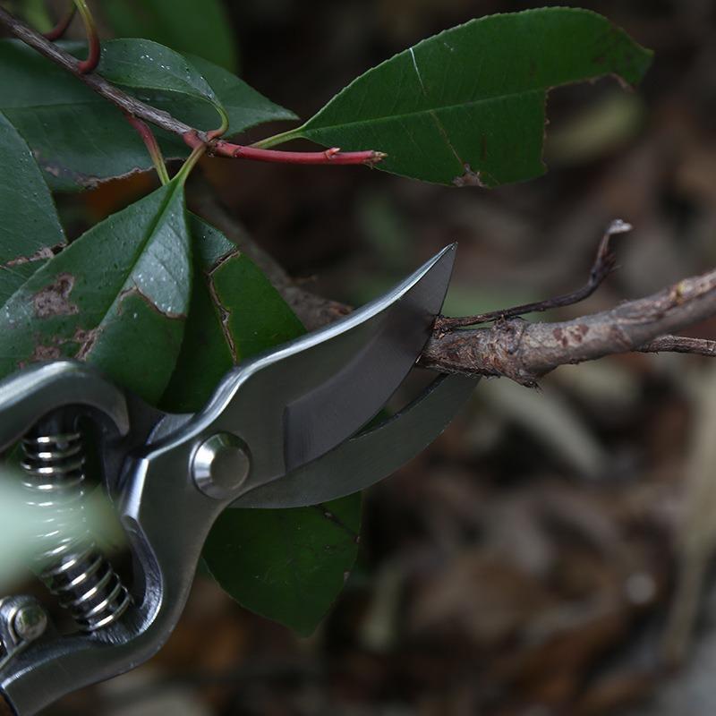 1PC wooden handle pruning shears, gardening shears, fruit tree branch shears, gardening flower art shears, labor-saving thick branch shears