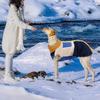 Autumn and Winter Dog Clothing Warm Thicken Fleece Pet Jacket for Dogs Soft and Comfortable Puppy Clothes Pet Products