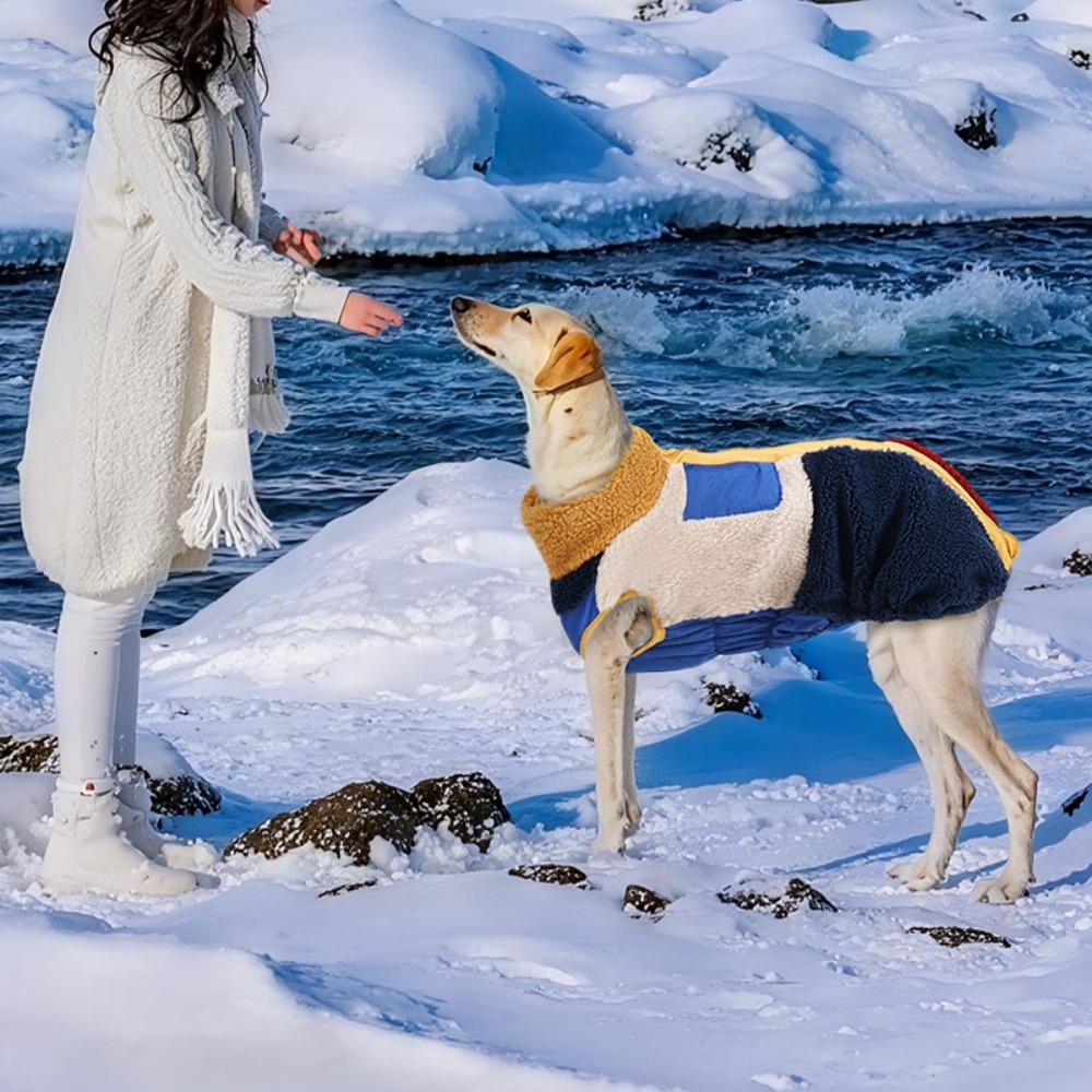 Autumn and Winter Dog Clothing Warm Thicken Fleece Pet Jacket for Dogs Soft and Comfortable Puppy Clothes Pet Products
