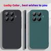 Noble Fashion Solid Colour Shockproof Protective Liquid Silicone Phone Case For Xiaomi 15T Pro / 15T