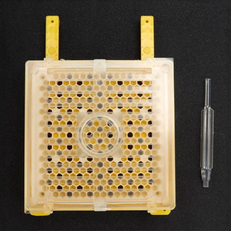 Sada pro chov matek Kompletní sada Jenter pro chov matek pro včelařství Včelařství