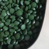 100-3000pc High Purity Spirulina Tablets Spiral Seaweed Enrichment Favorite Pets Food Fish Crystal Red Shrimp Fish Food Aquarium