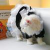 Dog Costume Dress Cat Clothes Cute Clothing Outfits Small Animal Lace Decors Apparel for Girl Cat Puppies Small Dogs