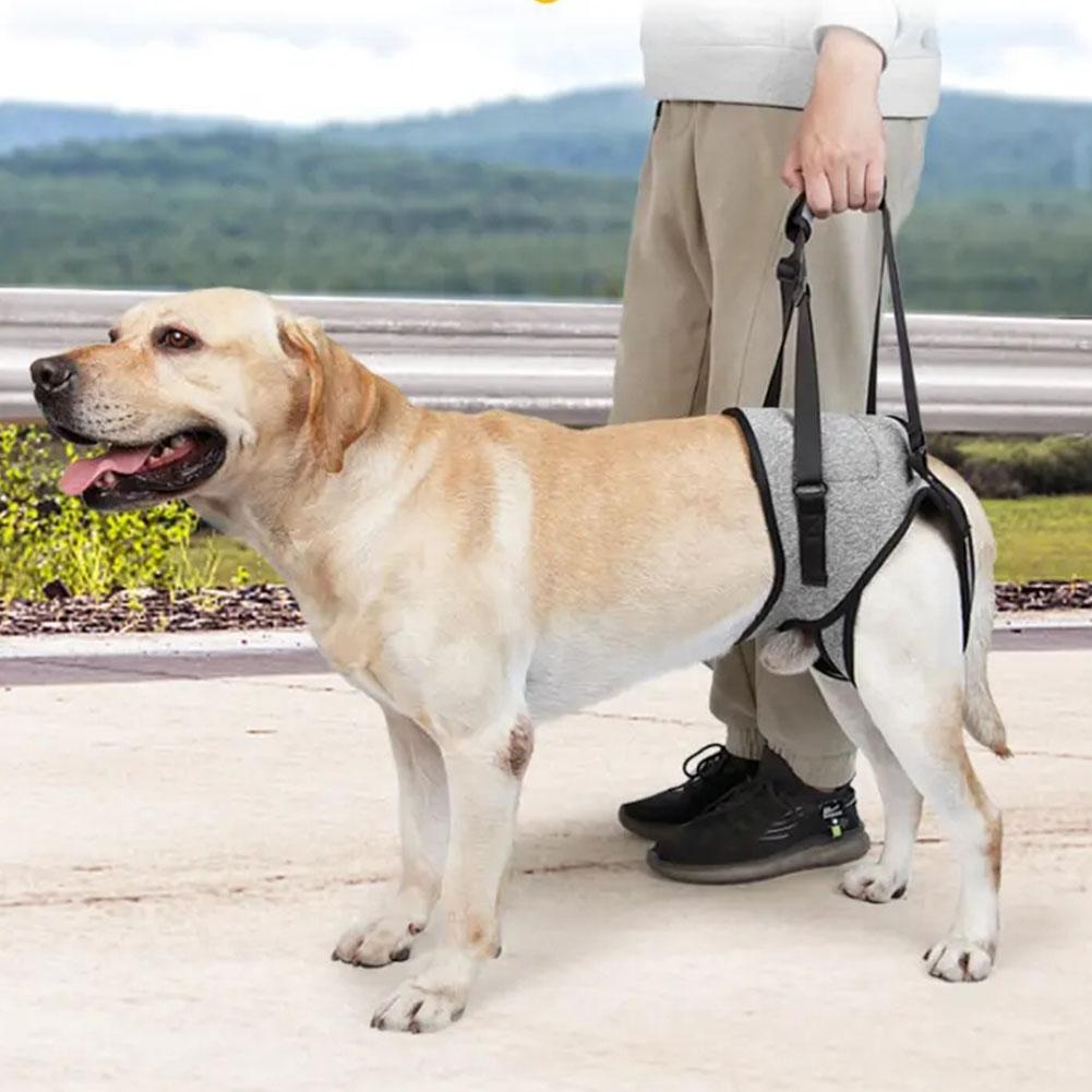 Adjustable Dog Lift Harness Leg Hip Support Pet Rear Leg Support For Old Disabled Joint Injuries Dog Back Leg Hold Pet Acce E4G6