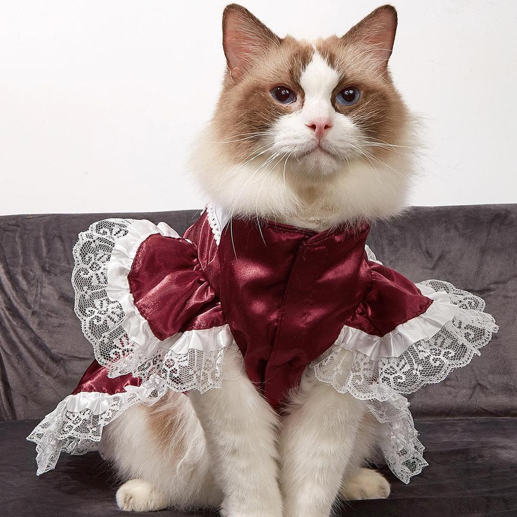 Baffy Pet Clothing: Stylish Cat & Dog Apparel and Skirts