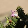 Micro  Decoration Miniature Resin Simulation Garden Statue 