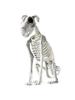 Halloween  Dog Skeleton Statue Skeleton Dog Puppy Skeleton Sculpture Scary SittingSpooky Skeleton Animals Decor for Home