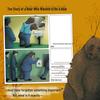 The Forest Bear: An Environmental Picture Book