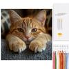 Animal Full 14CT DIY Counted Needlework for Adults Home Decor Patterns Arts Craft Kits 15.6x15.6In