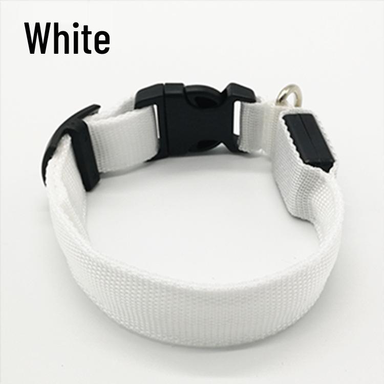 LED Pet Supplies Glow Dog Collar & Leash Set - Anti-Lost Necklace & Walking Accessory
