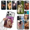 Golden Retriever Dog Phone Case For iPhone 17 Air 14 13 12 16Pro Max 15 11  Plus Max Cover Shell Coque