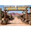 Barn Farm Birthday Backdrop Western Cowboy Photography Background Wood House Door Wild West Rodeo Party Decorations Girl Banner