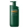 Wen Biquan Oil Control & Volumizing Shampoo