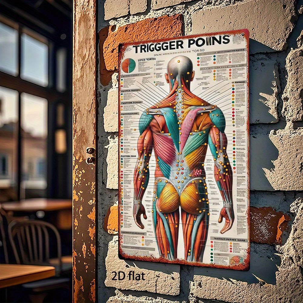 Akupunktur-Chart 20x30 cm - Menschliches Anatomie-Poster mit Triggerpunkten Meridianen, Langlebige Metall-Wandkunst für Akupunkteure Ther