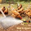 Large Chicken Poop Scooper Stainless Steel Chicken Coop Cleaning Shovel with Wooden Handle 3-in-1 Litter Scoop for Chicken Coop Accessories