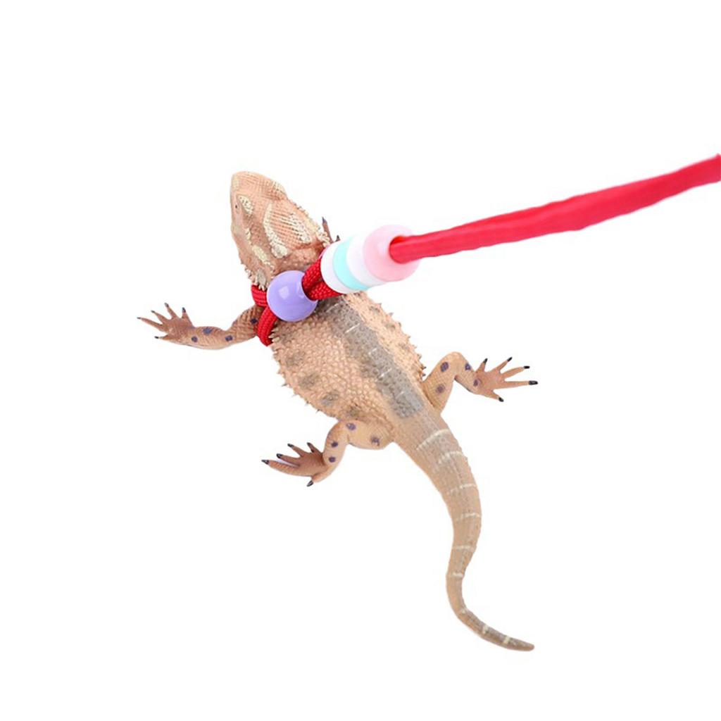 150cm Multiple Color Reptiles Leash Anti-Escape Outdoor Walking Lead Rope for Medium Large Reptiles Lizard Training
