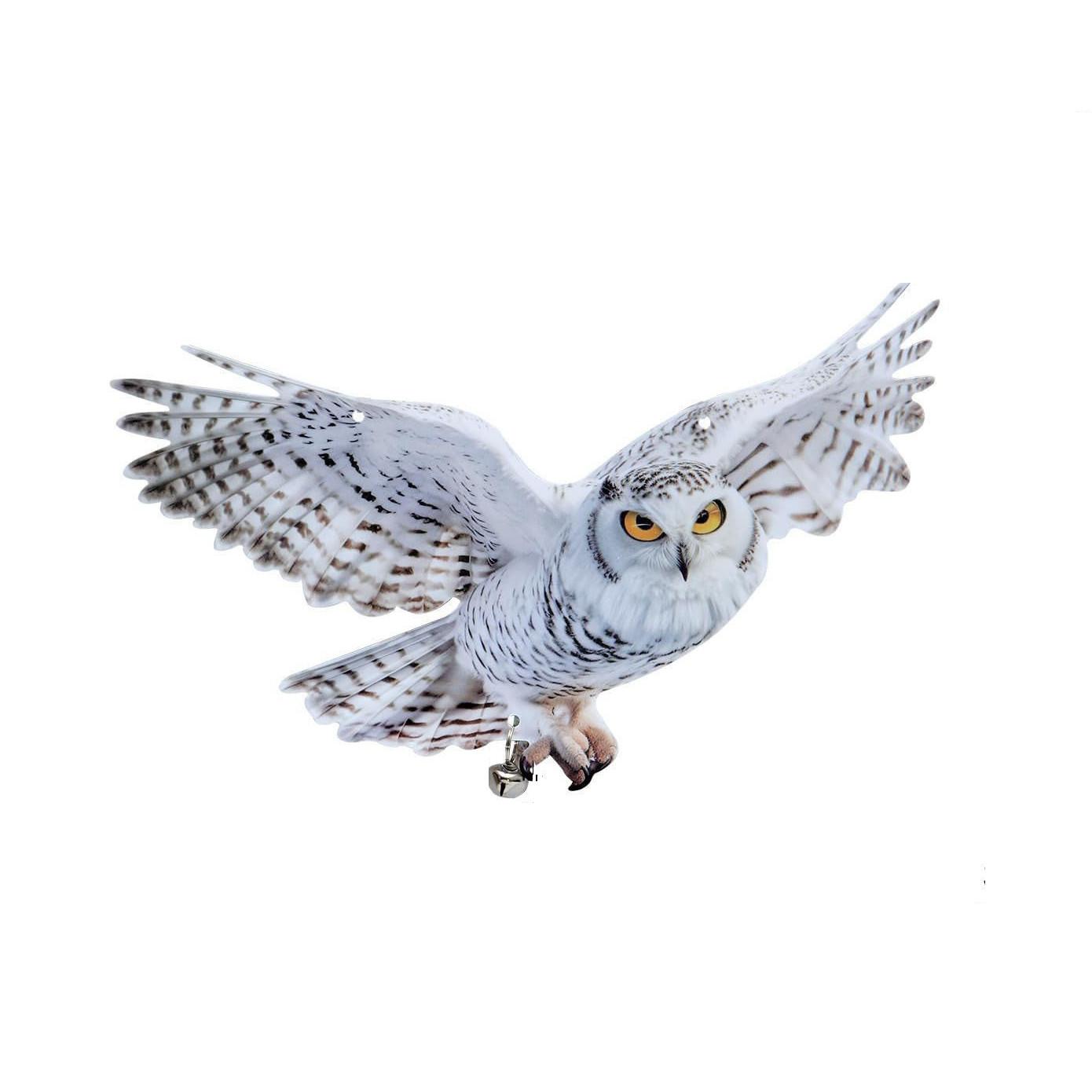 

Veronese Design Annes украсит вашу снежную сову подвесной настенной скульптурой в виде пентаграммы 2D One Size