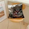 Meme Rosa Schleife Katzen Lustiger Kissenbezug Kissenbezug Dekoration Zimmer Zuhause Sofa Wohnzimmer Büro Auto Nordische Schlichtheit