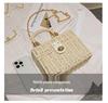 Borsa a tracolla in paglia da donna - Stile influencer francese - Piccola trousse da trucco portatile casual