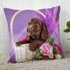 Spaniel Animal Pillowcase  Modern Home Living Room Decoration