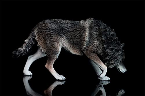 1/6 Scale Coyote Wolf Animal Figure, Realistic PVC Plastic Model, Premium Adult Toy, 20cm Class, Original Statue, Painted, Complete, Perfect for Anima