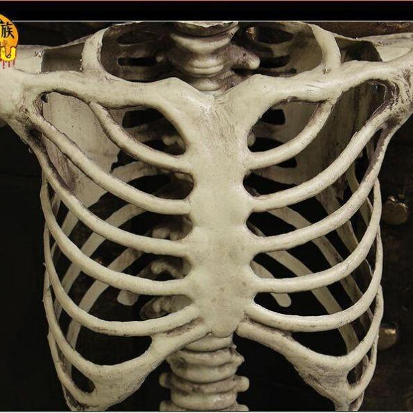 Scheletro Umano Completo per Halloween, Ossa Craniche Realistiche per Casa Infestata, Decorazioni Spaventose per Feste