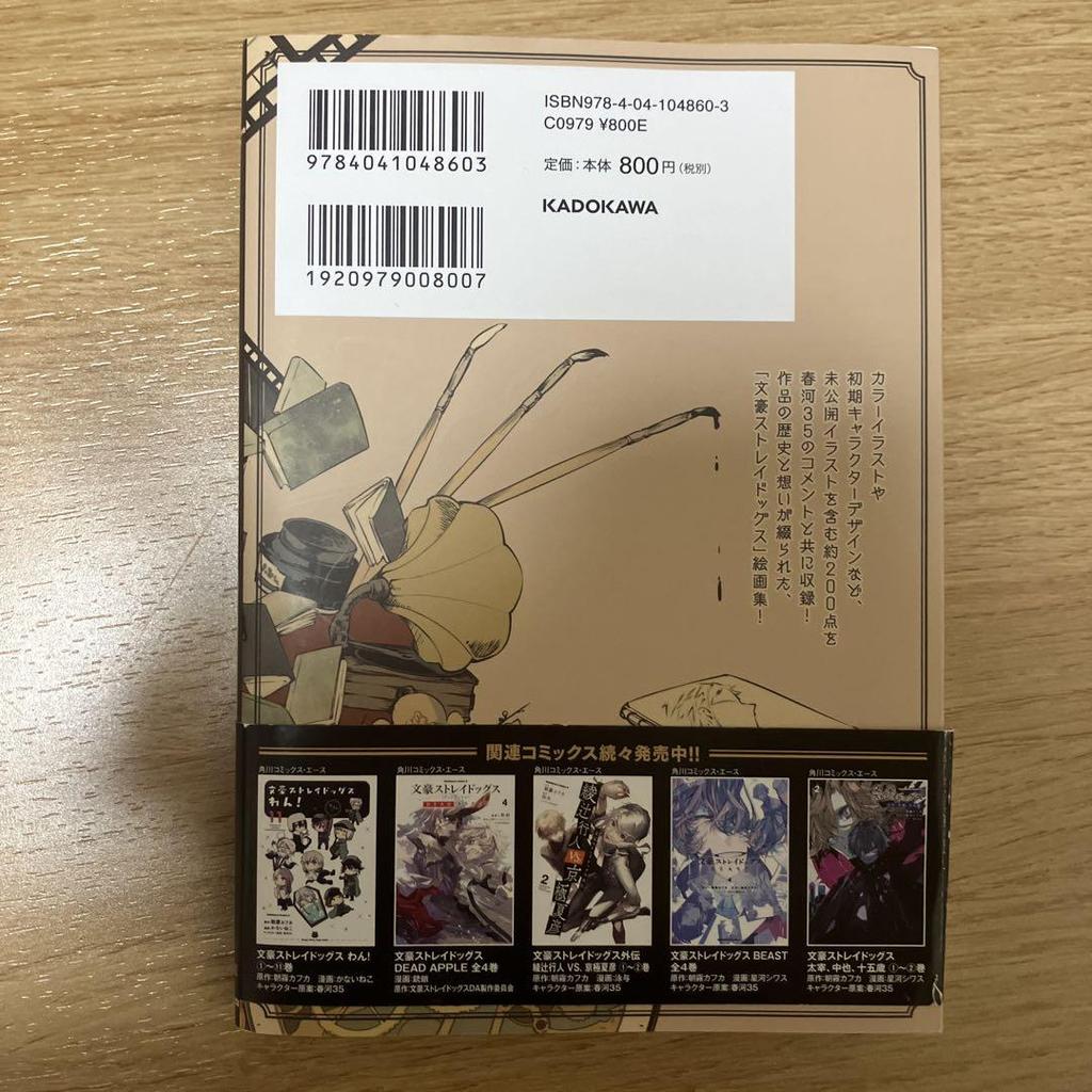 [USED] Bungo Stray Dogs manga, art book, and novels all bundled together with a bookmark!