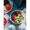 Snow Peak Enamel Bowl 200 Pale Green LF-065-PG Plate BBQ Camp Outdoor Picnic
