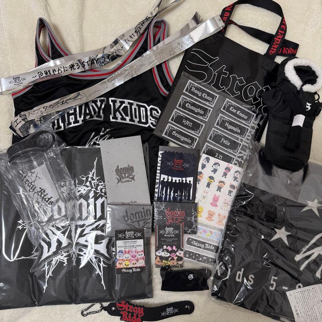 [USED] Stray Kids dominATE Upgrade Bonus