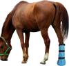 Praktische Paardenhoef Soak Bag Paarden Soaker Hoef Behandelingen Tas Hoef Verzorging Paardrijlaars met Schuimkussen Duurzaam