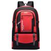 Li Shen Oxford Cloth Foldable Outdoor Travel Backpack