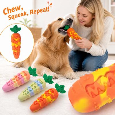 Silicone Squeaky Dog Toy Interactive Puppy Self-