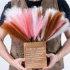 10 Stück Faux Pampas Hochzeit Heimdekoration Kunstpflanze Flauschige Seide DIY Schilf Simulierte Künstliche Blumen Pampasgras