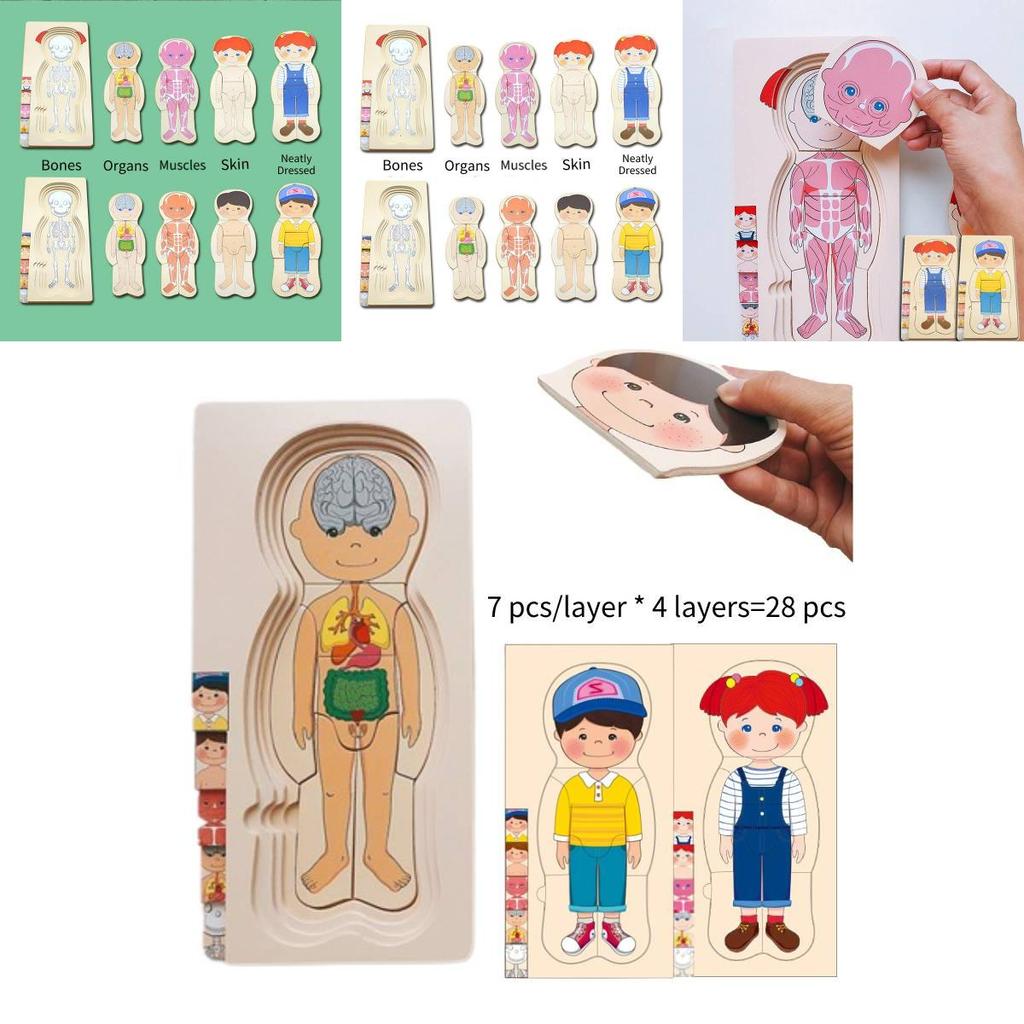 Holz-Puzzle-Spielzeug zur menschlichen Körperstruktur für Jungen und Mädchen