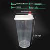 Disposable 500ml PP Cups (No Lid)
