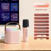 Y1 Bluetooth Wireless Children's Home KTV Microphone Speaker Set