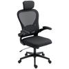 Office Chair, Ergonomic Desk Chair with Flip-Up Armrests, Adjustable Lumbar Support, Black
