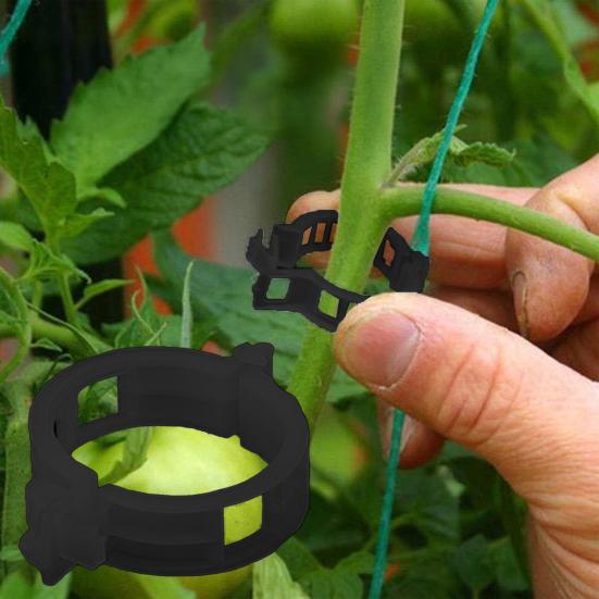 Plant Fixing Clip Reusable Tomato Vine Clips Garden Plant Support Clips for Tomato Grape Vine Vegetables Vertical