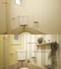 Turner Color Acrylic Paint Milk Paint for Wall (Indoor Wall) Snowdrop MW002501 2l