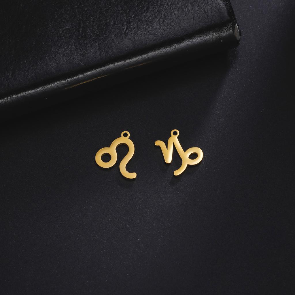 12pcs/lot Stainless Steel Zodiac Charms Horoscope Astrological Sign DIY Pendant for Necklace Bracelet Jewelry Making
