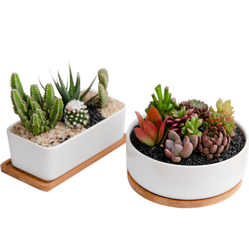 FaceColor Ceramic Succulent Cactus Set of 2 Round and One Mini Bonsai Pots with Drainage Holes and White Suitable for Living and Gardens Not Pots,