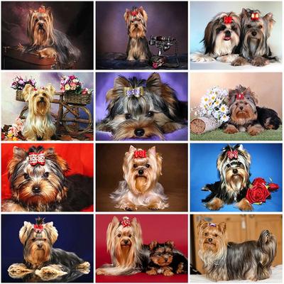 5D DIY pictură cu diamant câine punct de cruce Yorkshire Terrier broderie cu diamante mozaic complet rotund/pătrat burghiu decor artă cadou