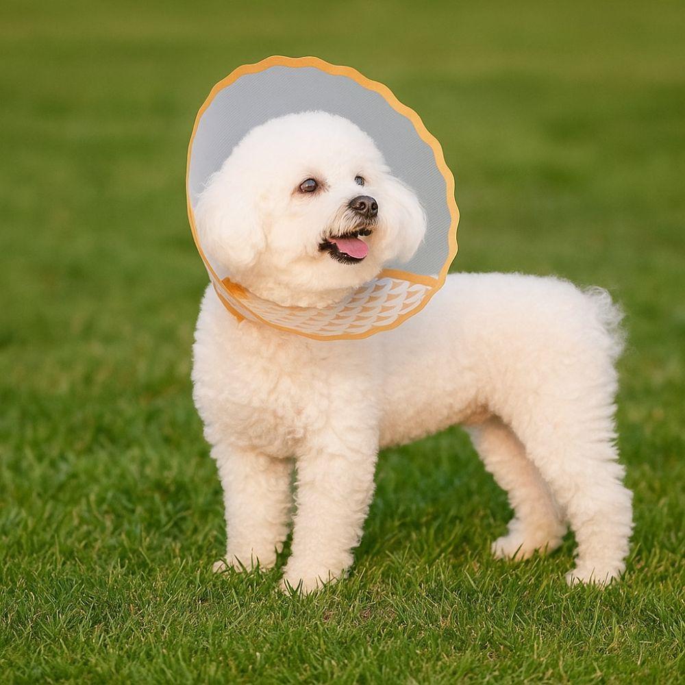 Anti-Lick Cat Elizabethan Collar Anti-Chew Dog Anti-Bite Collar Pet Recovery Collar  Pet Care